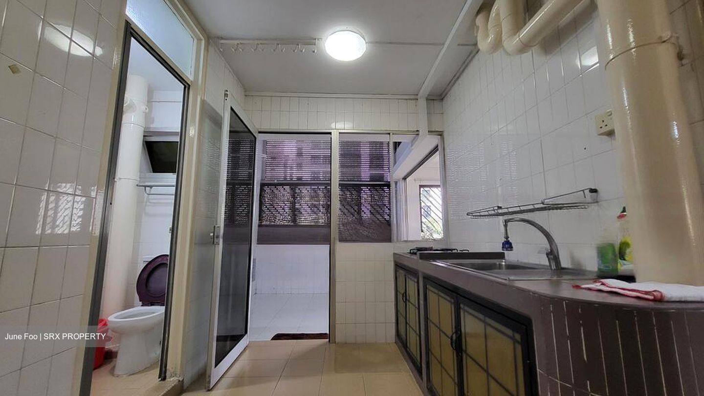 Blk 254 Bangkit Road (Bukit Panjang), HDB Executive #481011811